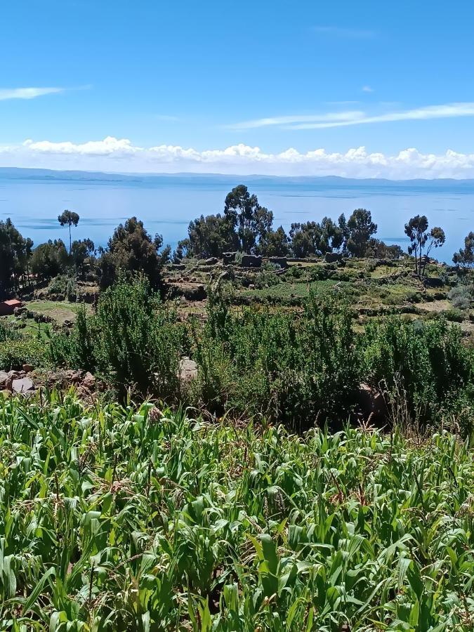 Taquile Familia Celso Otel Huillanopampa Dış mekan fotoğraf