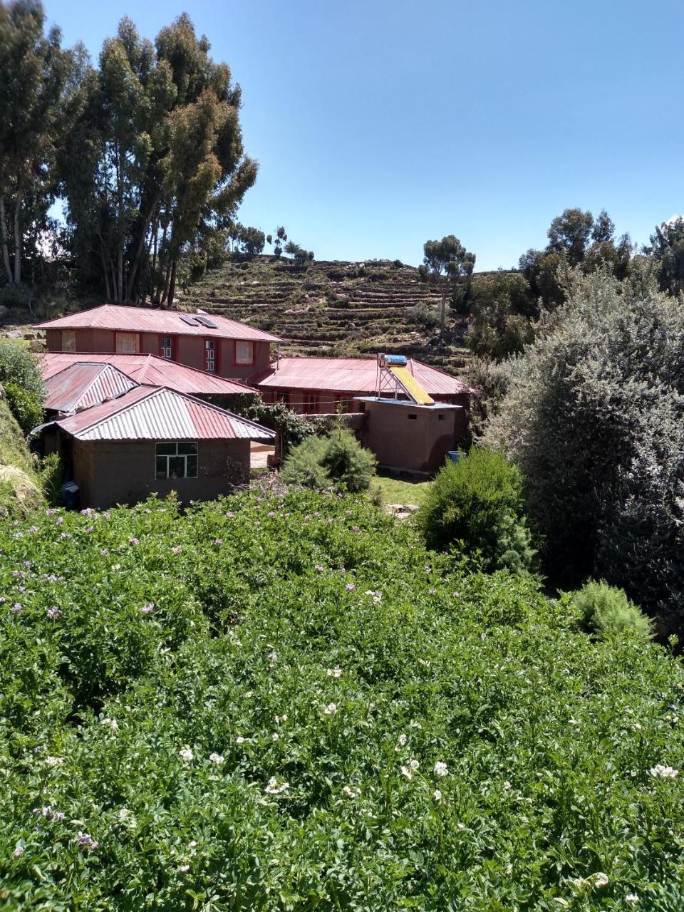 Taquile Familia Celso Otel Huillanopampa Dış mekan fotoğraf